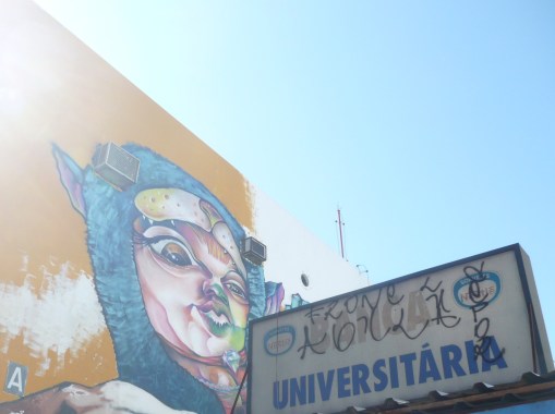 Muros de Brasília - photo by Mamcasz