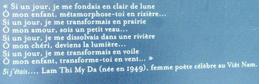 luxemburg vietnam 1 photo by mamcasz