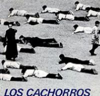Vargas Llosa