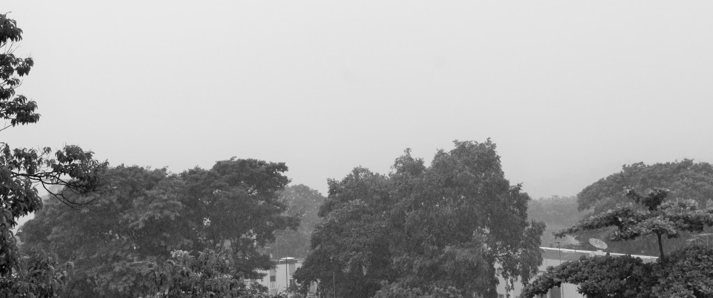 SONY DSC