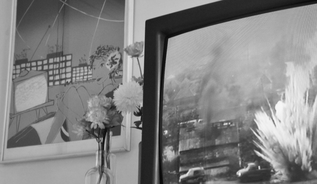 SONY DSC