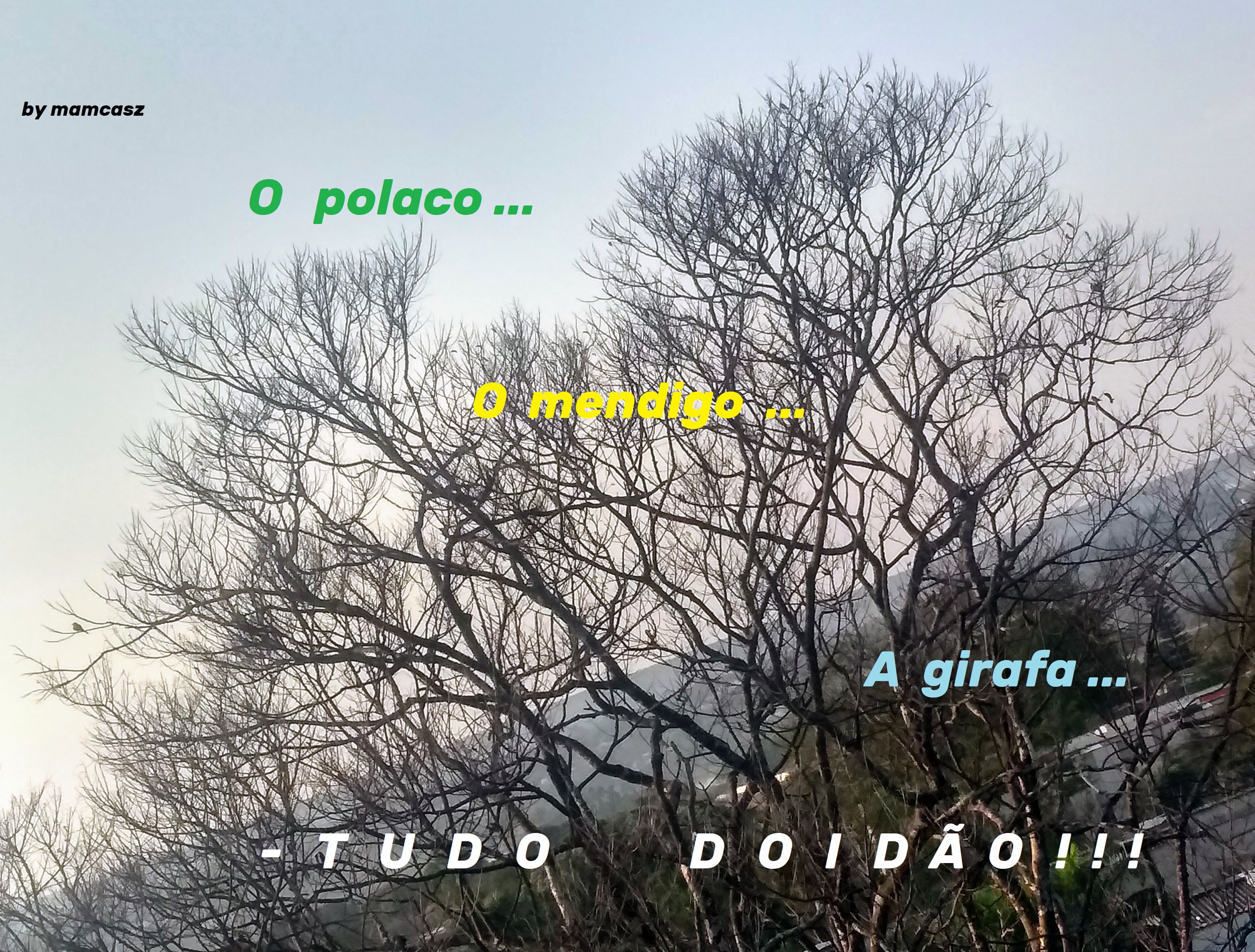 polaco doidao